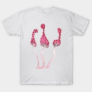 Mushroom Master Toadstools T-Shirt